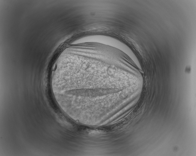 X0000116630400201001081257