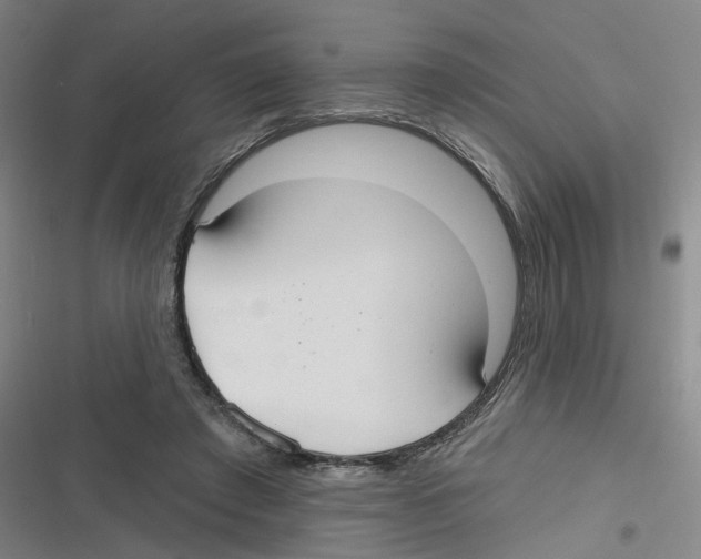 X0000116630401201001081257