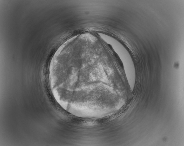 X0000116630402201001081257