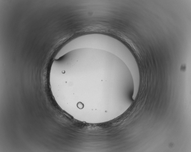 X0000116630403201001081257