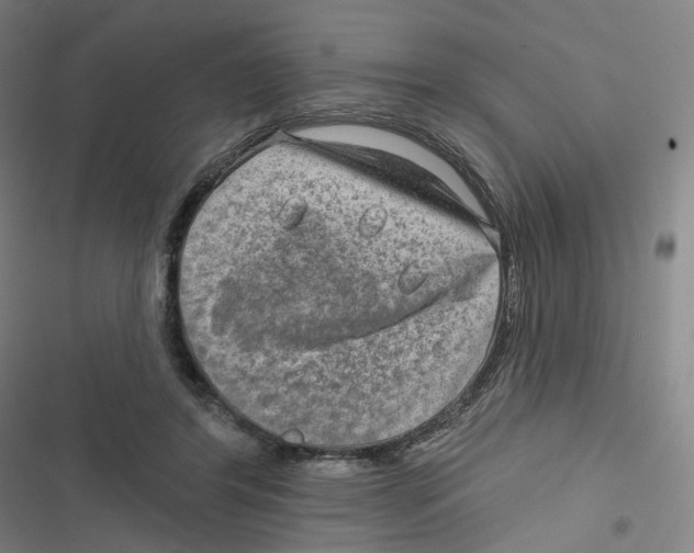 X0000116630404201001081257