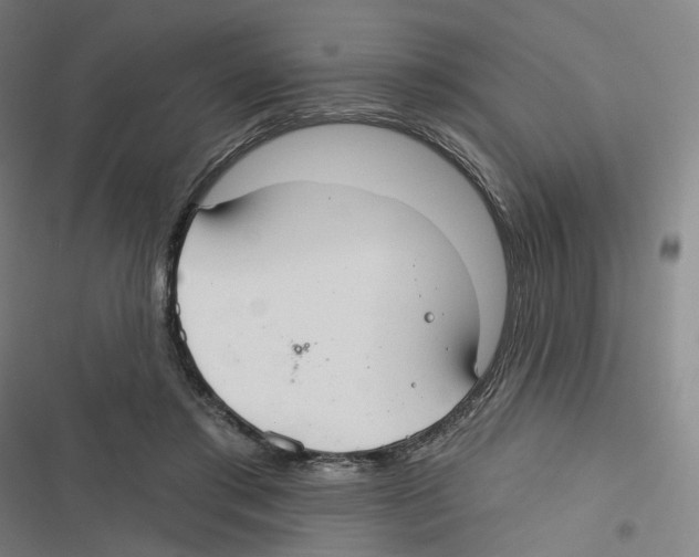 X0000116630405201001081257