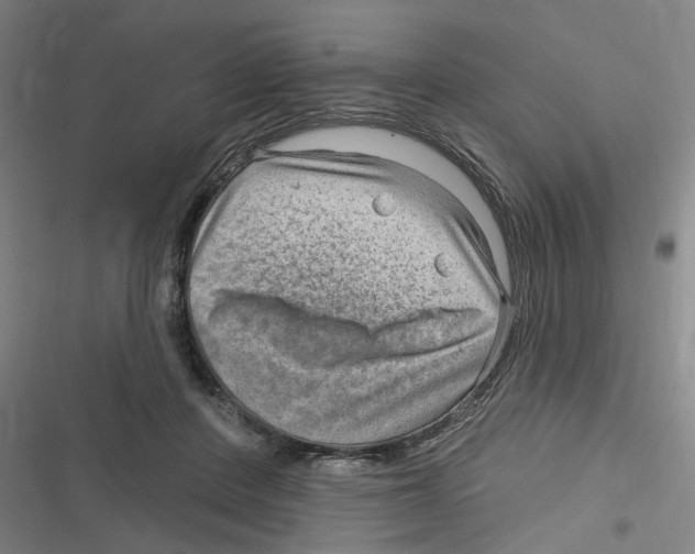 X0000116630408201001081257