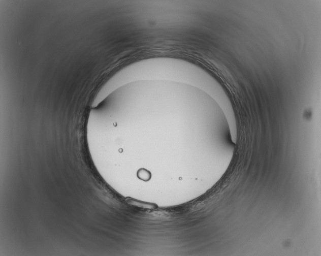 X0000116630409201001081257