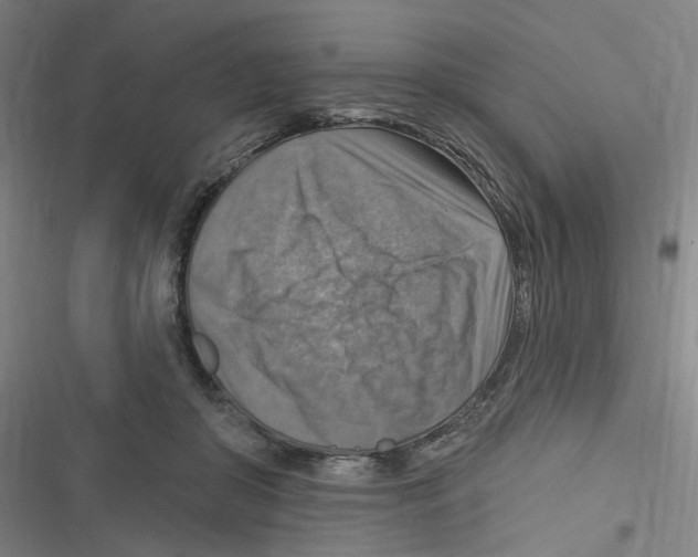 X0000116630410201001081257