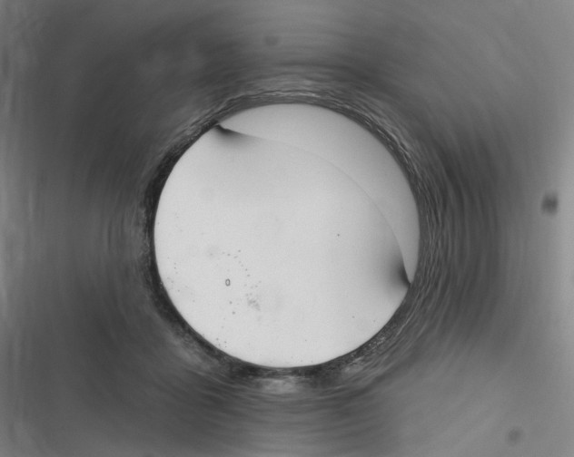 X0000116630411201001081257