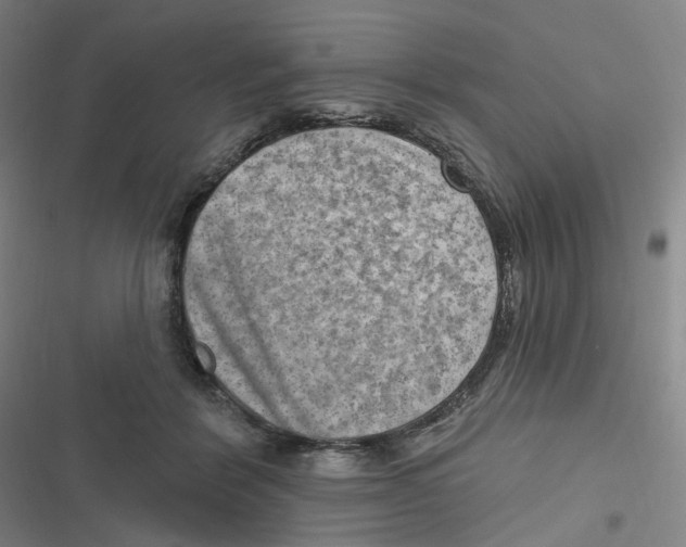 X0000116630412201001081257