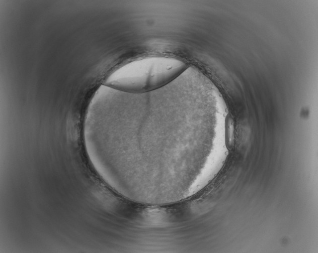 X0000116630413201001081257