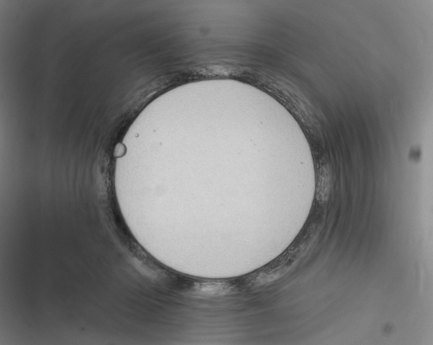 X0000116630414201001081257