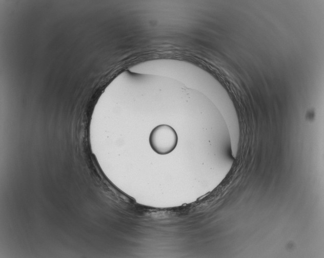 X0000116630417201001081256