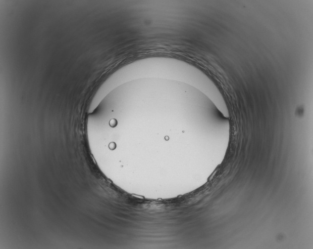 X0000116630419201001081256