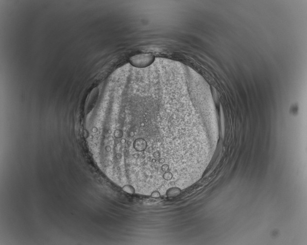 X0000116630420201001081256