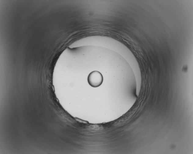 X0000116630421201001081256