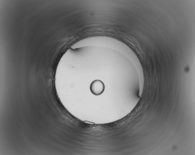 X0000116630423201001081256