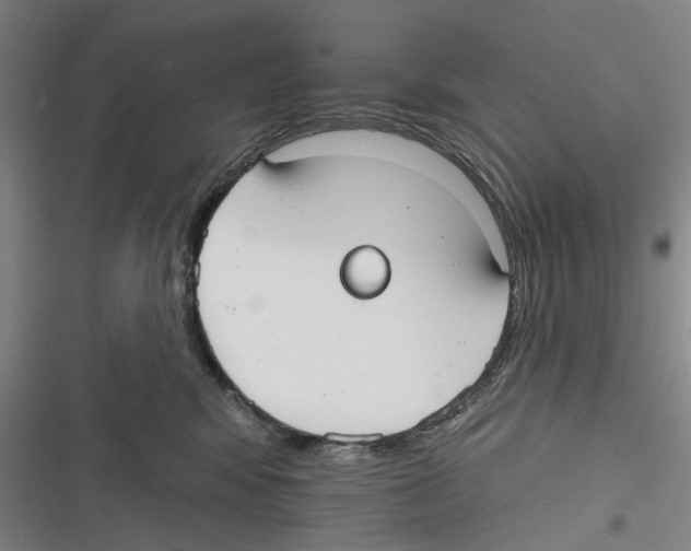 X0000116630424201001081256