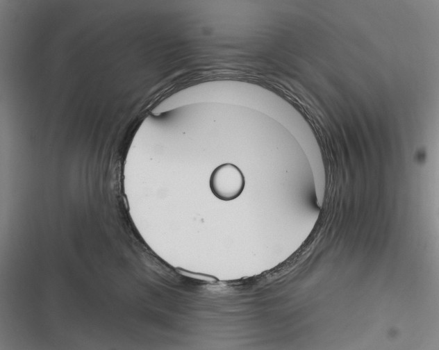 X0000116630425201001081256