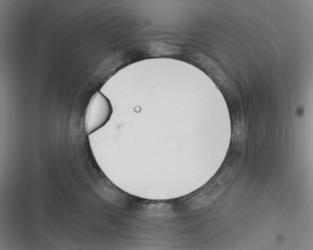 X0000116630426201001081256