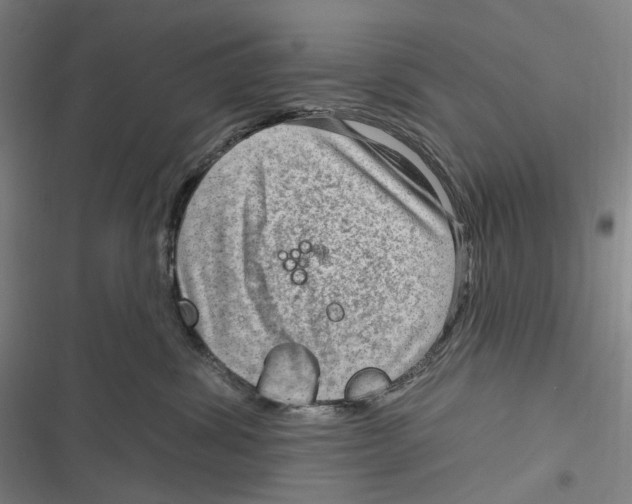 X0000116630428201001081256