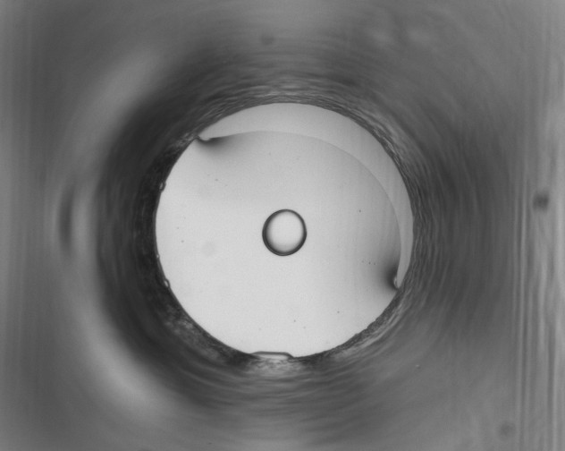 X0000116630429201001081256