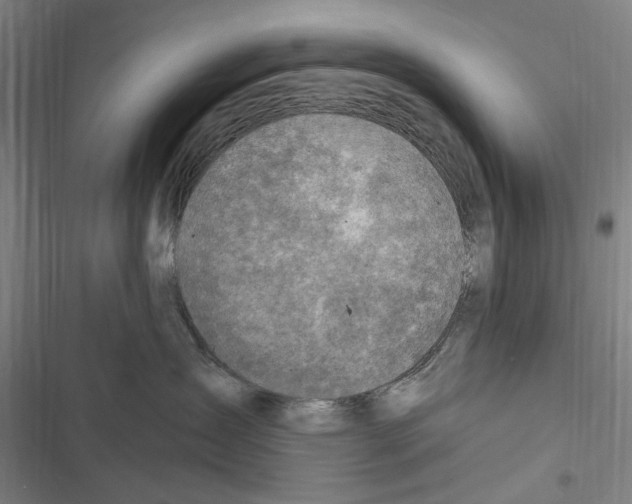 X0000116630431201001081256