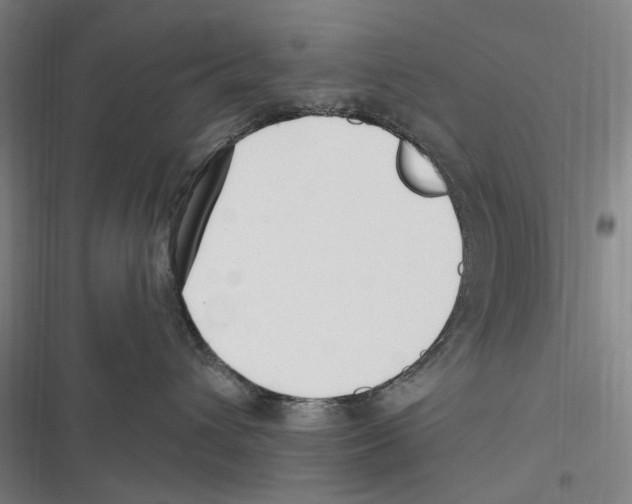 X0000116630432201001081256