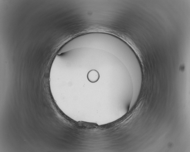 X0000116630433201001081256