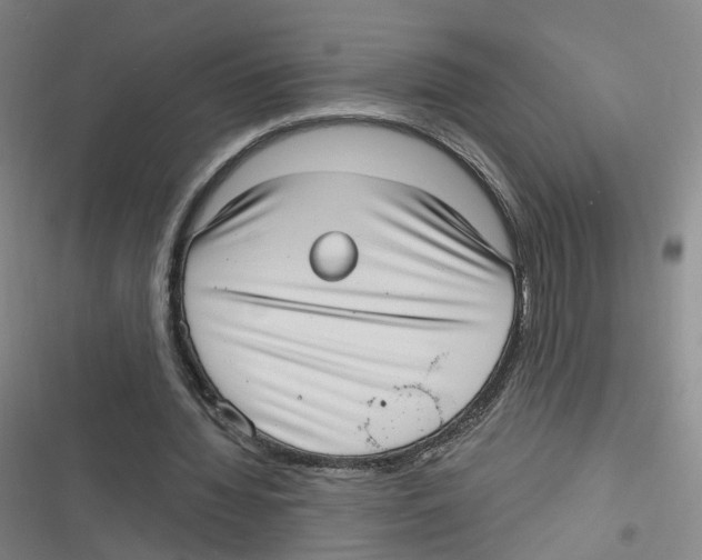 X0000116630436201001081256
