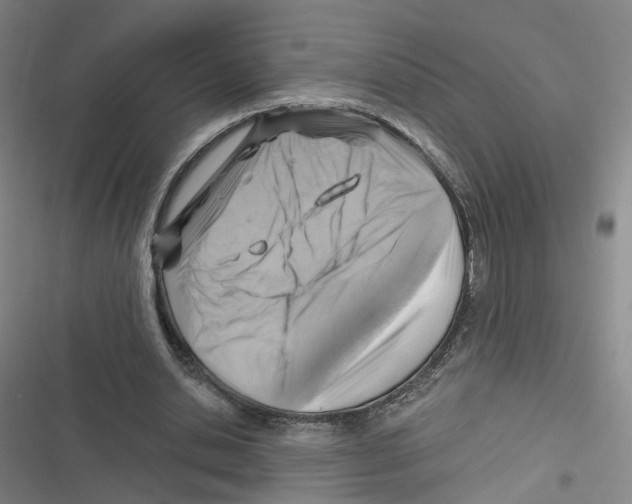 X0000116630438201001081256