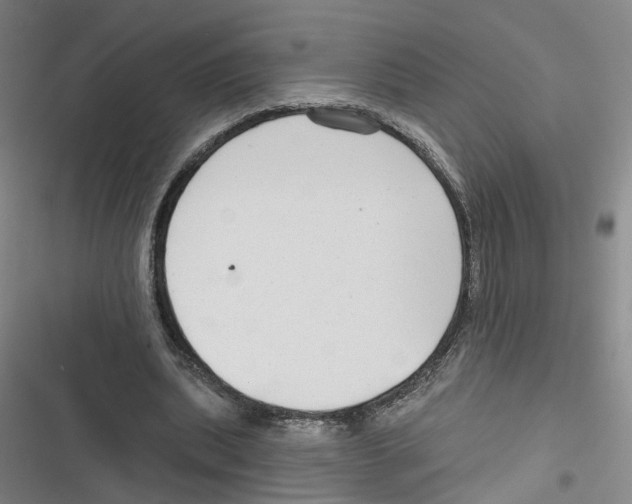 X0000116630439201001081256