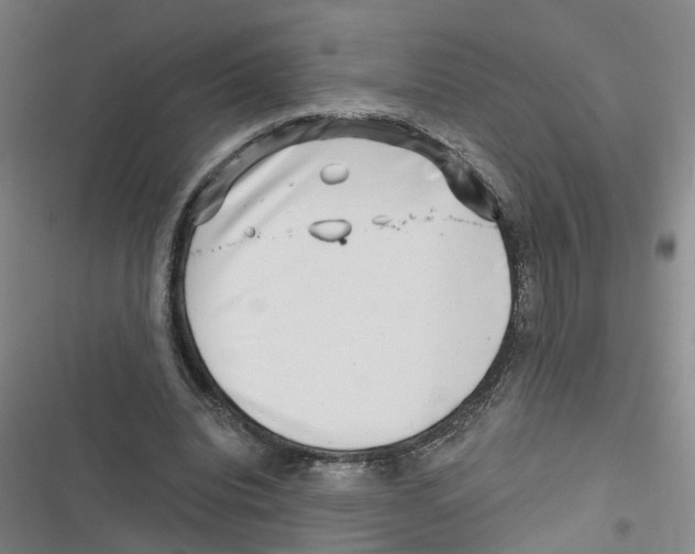 X0000116630440201001081256