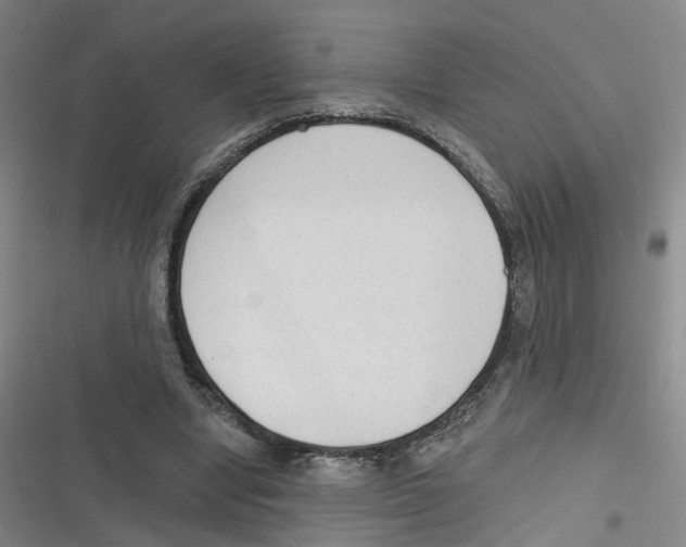 X0000116630442201001081256
