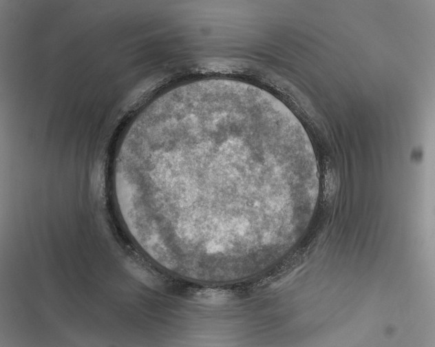 X0000116630444201001081256
