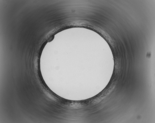 X0000116630445201001081256