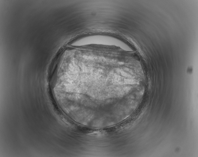 X0000116630447201001081256