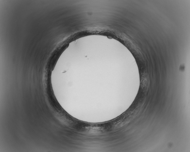 X0000116630448201001081256