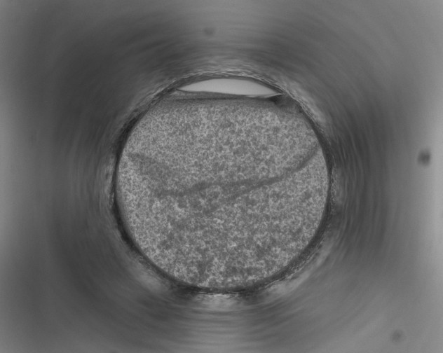 X0000116630449201001081256