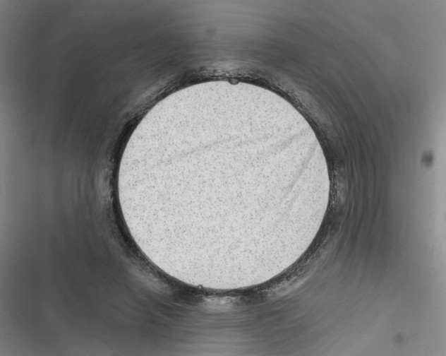 X0000116630450201001081256