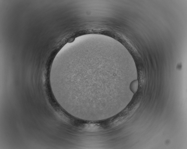 X0000116630451201001081256