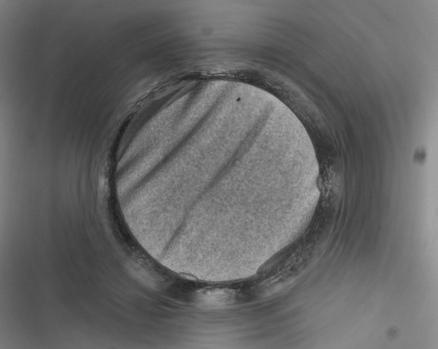 X0000116630452201001081256