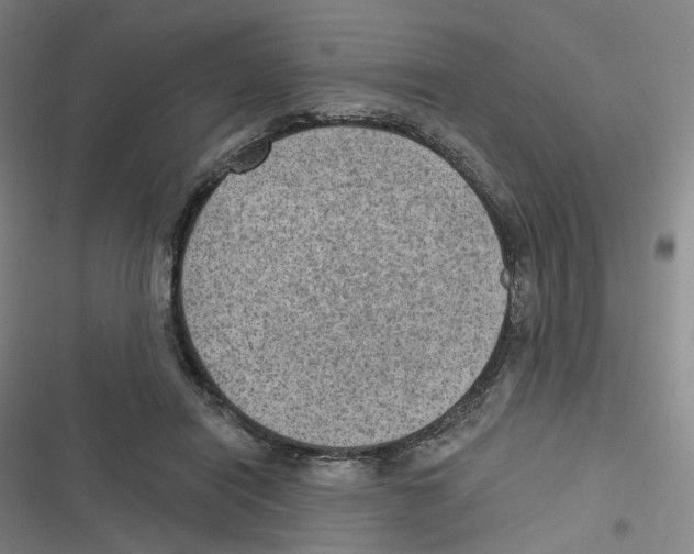 X0000116630454201001081256