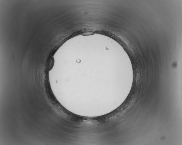 X0000116630455201001081256