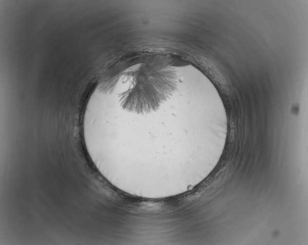 X0000116630457201001081256