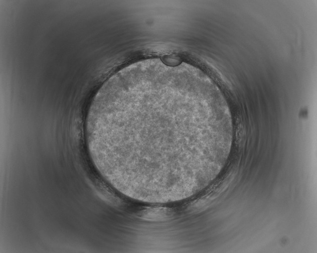 X0000116630459201001081256