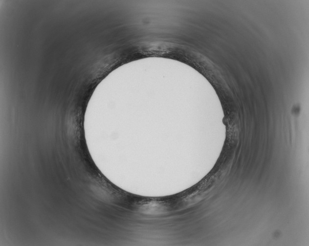X0000116630460201001081256