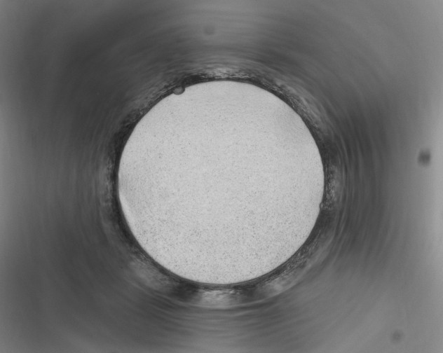 X0000116630461201001081256