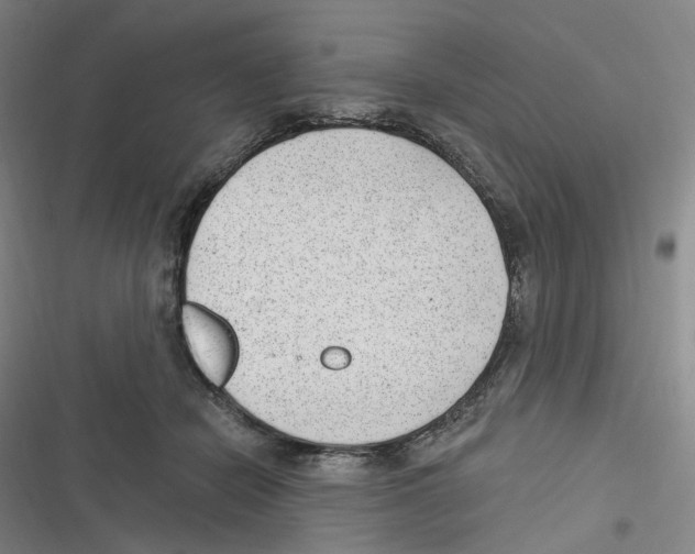 X0000116630462201001081256