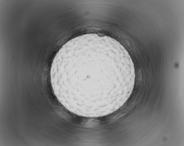 X0000116630463201001081256