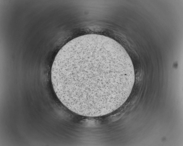 X0000116630464201001081256