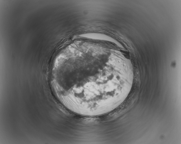 X0000116630465201001081256