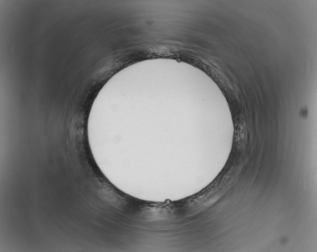 X0000116630466201001081256